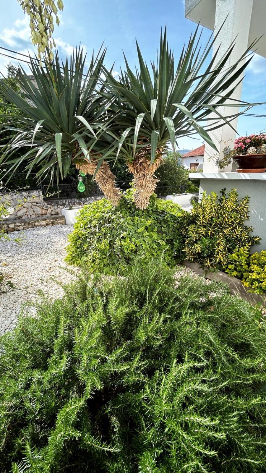 Apartmani Grgic Trogir Eksteriør billede