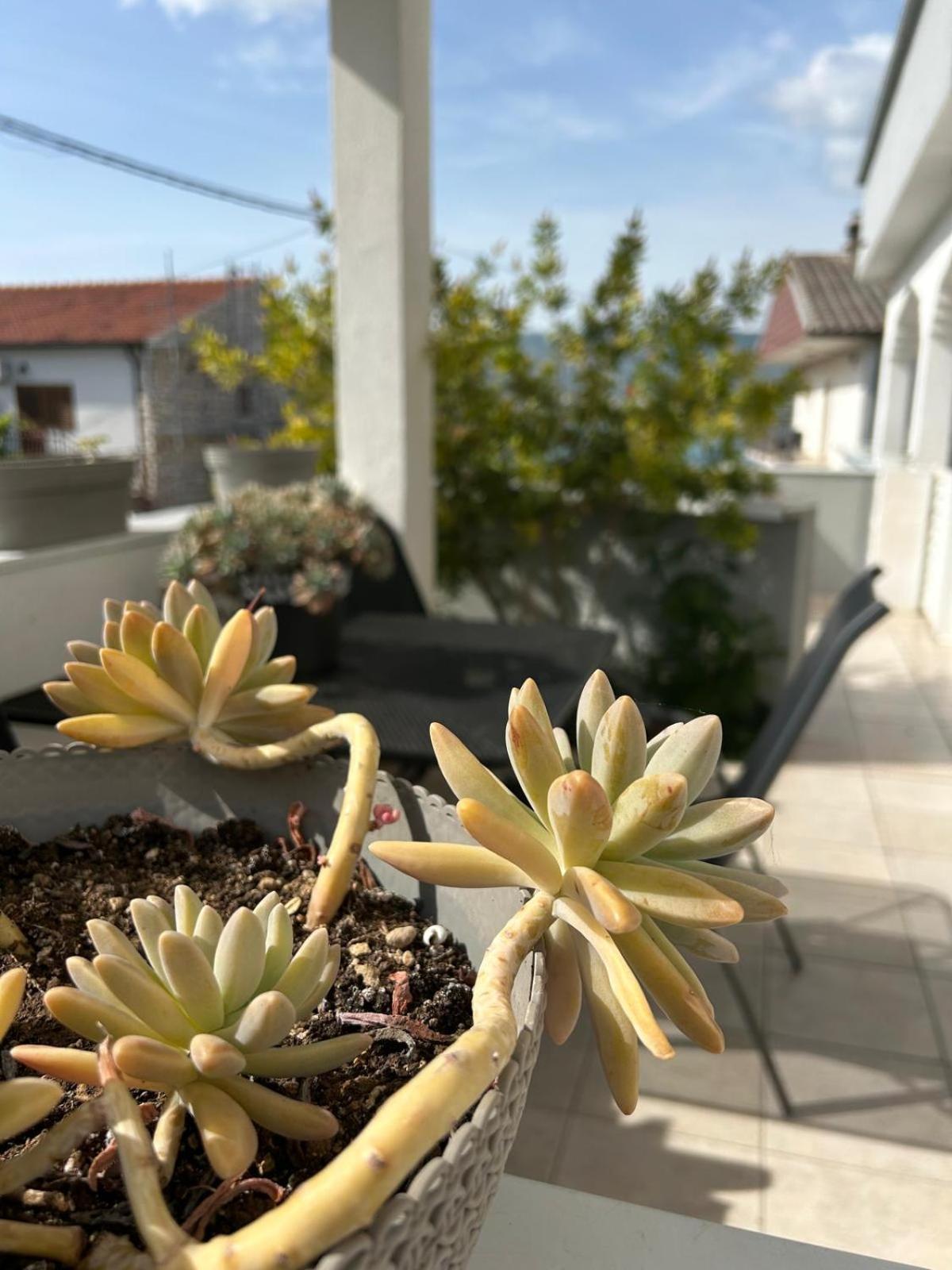 Apartmani Grgic Trogir Eksteriør billede